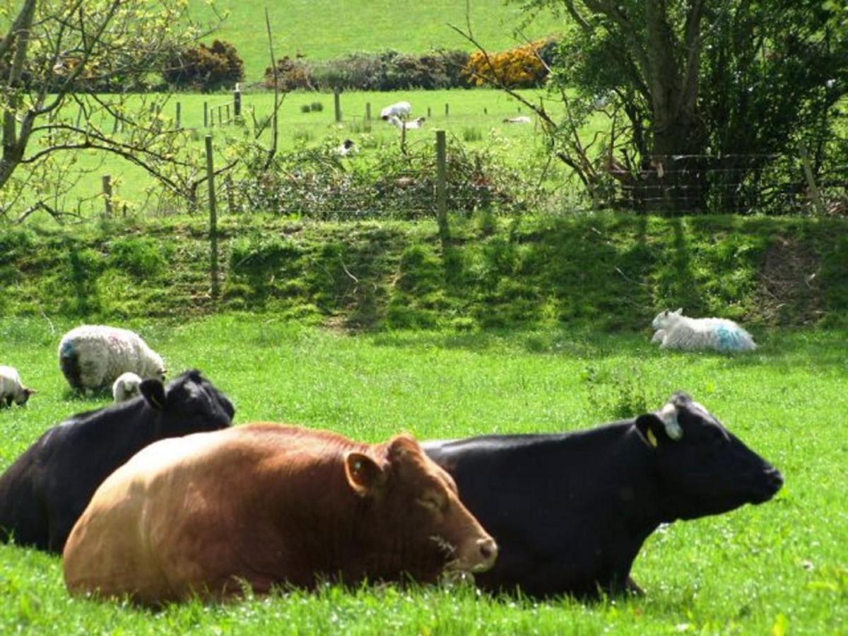 Glendalough Scenery Farmhouse ราวด์วูด ภายนอก รูปภาพ